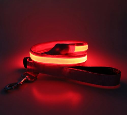 LED Hundeleine USB Aufladbar 1.2m Sicherheits Leuchtende Hundeleine mit Licht für Nächtliche Spaziergänge (rot) von BININBOX