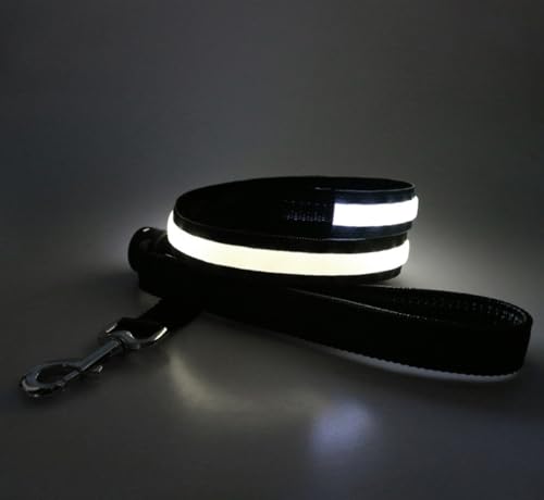 LED Hundeleine USB Aufladbar 1.2m Sicherheits Leuchtende Hundeleine mit Licht für Nächtliche Spaziergänge (weiß) von BININBOX
