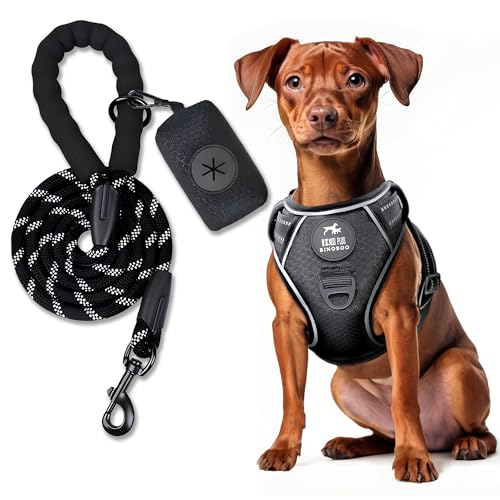 BINOBOO hundegeschirr kleine Hunde, Welpengeschirr, Anti Zug Hundegeschirr, No Pull Verstellbar Hundegeschirr Set mit Leine und Kotbeuteln, Atmungsaktives reflektierendes Brustgeschirr, Schwarz S BINOBOO hundegeschirr kleine Hunde, Welpengeschirr, Anti Zug Hundegeschirr, No Pull Verstellbar Hundegeschirr Set mit Leine und Kotbeuteln, Atmungsaktives reflektierendes Brustgeschirr, Schwarz S von BINOBOO