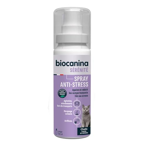 Spray Anti-Stress Chat 100ml Biocanina Spray Anti-Stress Chat 100ml Biocanina von BIOCANINA