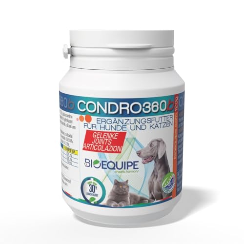 Condro 360 – Gelenktabletten für Hunde | Joint Tablets for Dogs | Gelenkpflege & Mobilitäts-Support | Deutsche Qualität | 120 Stück, hohe Akzeptanz Condro 360 – Gelenktabletten für Hunde | Joint Tablets for Dogs | Gelenkpflege & Mobilitäts-Support | Deutsche Qualität | 120 Stück, hohe Akzeptanz von BIOEQUIPE