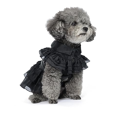 Kostüm für Hunde und Katzen, Cosplay, niedliches Kätzchen, schwarzer Mantel, Kleidung mit Gürtel, Halloween-Party für kleine und mittelgroße Hunde von BIOPRIM