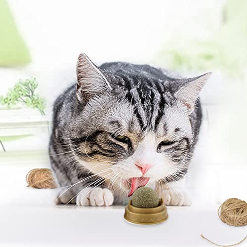 1/4 Stück Katzenminze Balls Spielzeug for Katze, Drehbare Katzenminze Ball mit Staubschutz for Katze fördert die Verdauung von BIOSA