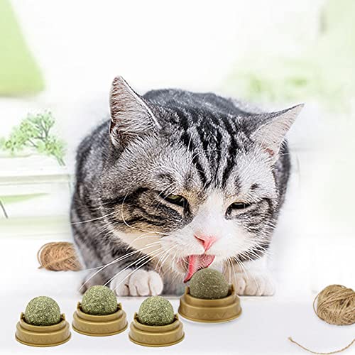1/4 Stück Katzenminze Balls Spielzeug for Katze, Drehbare Katzenminze Ball mit Staubschutz for Katze fördert die Verdauung 1/4 Stück Katzenminze Balls Spielzeug for Katze, Drehbare Katzenminze Ball mit Staubschutz for Katze fördert die Verdauung von BIOSA