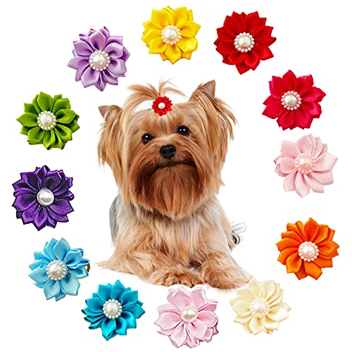 BIPY 20 Stück Hunde Blumen Schleifen für Haar-Accessoires und Halsbänder, Welpen, Katzen, Halsband, Haarschmuck, verstellbares Zubehör, Gummiband, Hochzeit, Festival von BIPY