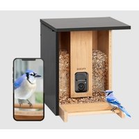 BIRDFY Futterautomat Bamboo AI im Abonnement + Solarpanel von BIRDFY