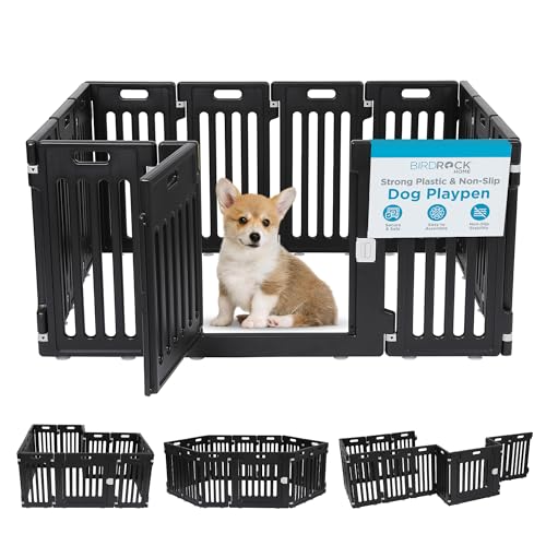 BIRDROCK HOME Hunde-Laufstall mit Tür, 12 Paneele, mittelgroß, 65 cm hoch, starker Kunststoff, Welpensicherheitszaun, Laufstall, Laufstall, rutschfestes und sicheres Haustiergitter, Schwarz BIRDROCK HOME Hunde-Laufstall mit Tür, 12 Paneele, mittelgroß, 65 cm hoch, starker Kunststoff, Welpensicherheitszaun, Laufstall, Laufstall, rutschfestes und sicheres Haustiergitter, Schwarz von BIRDROCK HOME