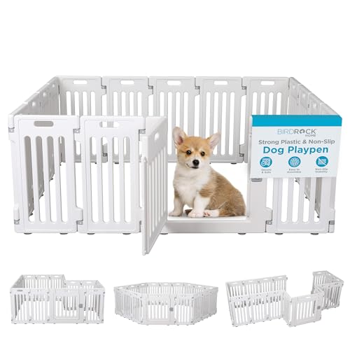 BIRDROCK HOME Hunde-Laufstall mit Tür, 16 Paneele, groß, 65 cm hoch, starker Kunststoff, Welpensicherheitszaun, Laufstall, Laufstall, rutschfestes und sicheres Haustiergitter, Weiß BIRDROCK HOME Hunde-Laufstall mit Tür, 16 Paneele, groß, 65 cm hoch, starker Kunststoff, Welpensicherheitszaun, Laufstall, Laufstall, rutschfestes und sicheres Haustiergitter, Weiß von BIRDROCK HOME