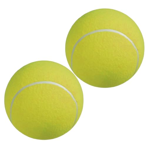 BIUDECO 2Stücke Aufblasbarer für Haustiere Großer Kautschukball mit Gasnadel Langlebiges für Unterschriften und Spielspaß von BIUDECO