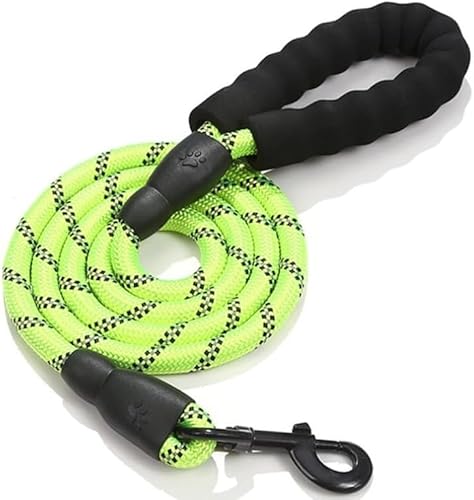 1,5 Meter Heavy Duty Hund Nylon Leine | 360-Grad drehbare Metallschnalle, Tangle-Free Design - Perfekt für Gehorsam Recall Training und Agility (Grün, 150CM) von BJEBWAL