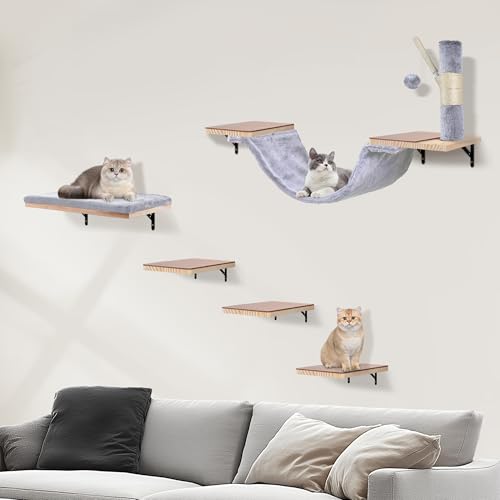 Katzenregale für die Wand, Wandmontage, Katzenmöbel-Set, mit Hängematte, Sprungbrettern, Sofa, Stufen, Kratzbaum, hängender Ball und Filz-Pads, geeignet für Katzen, Klettern, Springen, Kratzen, Grau von BJJZHH