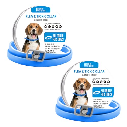 BKEPDY Hundehalsband für Hunde 2 Stück Effektiver Schutz vor Ungeziefern und Zecken Wasserdicht und Größenverstellbar mit Natürlichen Inhaltsstoffen BKEPDY Hundehalsband für Hunde 2 Stück Effektiver Schutz vor Ungeziefern und Zecken Wasserdicht und Größenverstellbar mit Natürlichen Inhaltsstoffen von BKEPDY