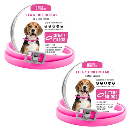 BKEPDY Hundehalsband für Hunde 2 Stück Effektiver Schutz vor Ungeziefern und Zecken Wasserdicht und Größenverstellbar mit Natürlichen Inhaltsstoffen BKEPDY Hundehalsband für Hunde 2 Stück Effektiver Schutz vor Ungeziefern und Zecken Wasserdicht und Größenverstellbar mit Natürlichen Inhaltsstoffen von BKEPDY