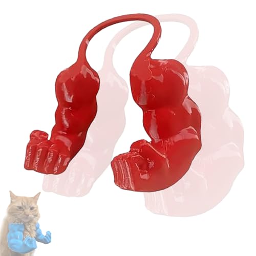 BKGBQAOW Mini HäNde für Katzen, Dekorative Mini-Muskelarme für Haustiere, Lustiges Spielzeug & KostüMaccessoire, SchräNkt die Bewegung Nicht EIN, Super Einfach An/Abzulegen BKGBQAOW Mini HäNde für Katzen, Dekorative Mini-Muskelarme für Haustiere, Lustiges Spielzeug & KostüMaccessoire, SchräNkt die Bewegung Nicht EIN, Super Einfach An/Abzulegen von BKGBQAOW