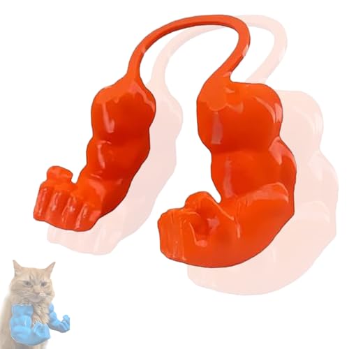 BKGBQAOW Mini HäNde für Katzen, Dekorative Mini-Muskelarme für Haustiere, Lustiges Spielzeug & KostüMaccessoire, SchräNkt die Bewegung Nicht EIN, Super Einfach An/Abzulegen BKGBQAOW Mini HäNde für Katzen, Dekorative Mini-Muskelarme für Haustiere, Lustiges Spielzeug & KostüMaccessoire, SchräNkt die Bewegung Nicht EIN, Super Einfach An/Abzulegen von BKGBQAOW