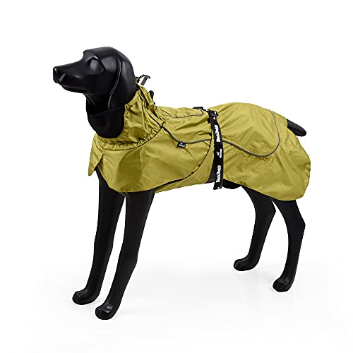 BLACKDOGGY wasserdichte Outdoor-Jacke Regenmantel mit reflektierendem Rand und verstellbarem Gürtel (Medium, Grün) von BLACKDOGGY