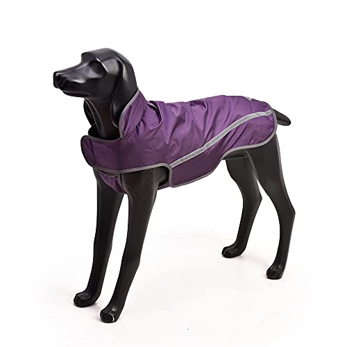 BlackDoggy wasserdichte Regenjacke mit atmungsaktivem Material und reflektierenden Streifen (klein, lila) von BLACKDOGGY