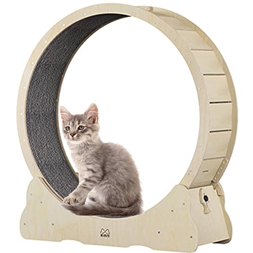 BLANKX Katzenlaufrad für Wohnungskatzen, Leises Kleines Mittelgroßes Laufrad für Katzen, Kleine Lücke Haustier Katze Laufrad Spielzeug mit Bremse,XL-Woodcolor von BLANKX