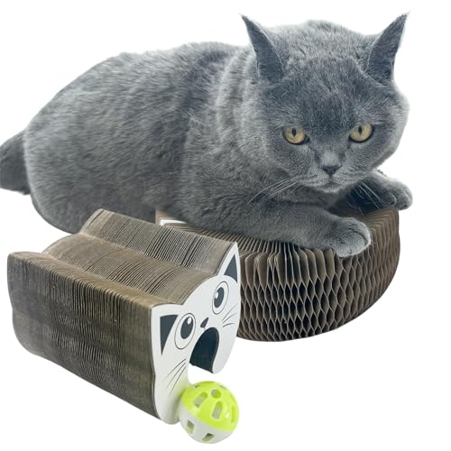 BLIWINPT Interaktives Kratzbrett für verspielte Kätzchen, magischer Akkordeon-Kratzbaum, lustiges Katzenspielzeug für Indoor-Katzen, 1 Packung BLIWINPT Interaktives Kratzbrett für verspielte Kätzchen, magischer Akkordeon-Kratzbaum, lustiges Katzenspielzeug für Indoor-Katzen, 1 Packung von BLIWINPT