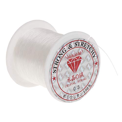 100 m/Rolle, unsichtbare Schnur, transparent, starker Draht für Girlande, Moos, Aquarium-Dekorationen, Heizung, Lichtthermometer, Kies, Sandfilter, Aquariumfilter, Licht von BLNGET