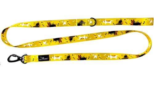 Bloomo® Hundeführleine, Originaldesign, mit Handschlaufe, stark und pflegeleicht, 2.0 x 160 cm (Hundeglück, 2.5 x 160) von BLOOMO