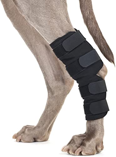 BLOSSOMLIFE Hunde-Hosenträger für Rückenbeine, super stützend, um Hundebeine zu stabilisieren, hilft Hunden bei Verletzungen (Medium) von BLOSSOMLIFE