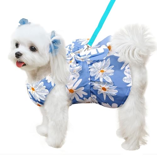 Hundegeschirr, Kleid, Leine, Set für kleine Hunde, Kleidung für Welpen, niedliches rotes Erdbeermuster, Haustier-Sommerkleidung, Schleife, Welpen, Katze, Prinzessinnenkleider (Blau, M) von BLOSSOMLIFE