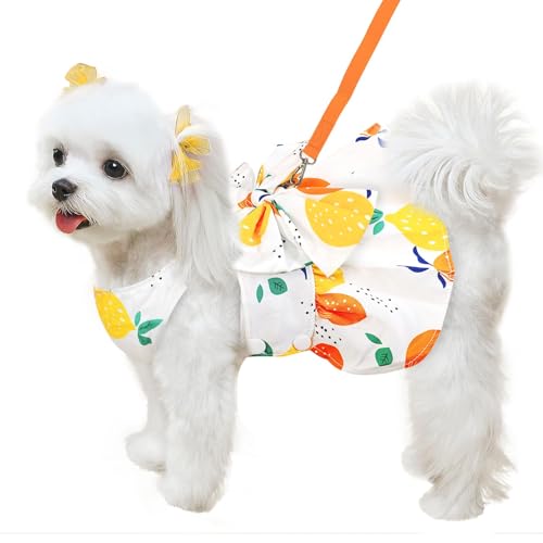 Hundegeschirr, Kleid, Leine, Set für kleine Hunde, Kleidung für Welpen, niedliches rotes Erdbeermuster, Haustier-Sommerkleidung, Schleife, Welpen, Katze, Prinzessinnenkleider (Gelb, M) von BLOSSOMLIFE