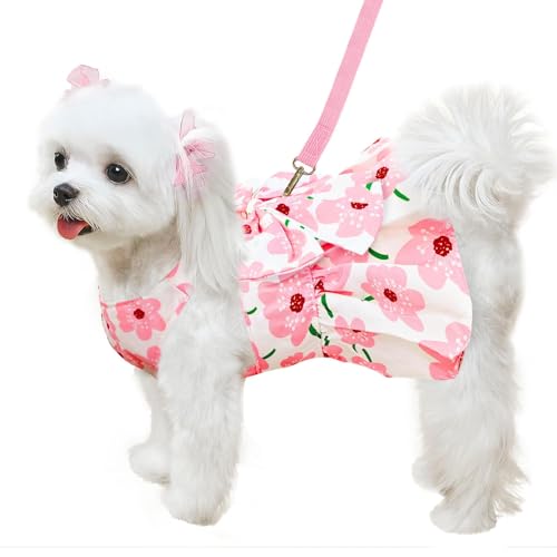 Hundegeschirr, Kleid, Leine, Set für kleine Hunde, Kleidung für Welpen, niedliches rotes Erdbeermuster, Haustier-Sommerkleidung, Schleife, Welpen, Katze, Prinzessinnenkleider (Rosa, S) von BLOSSOMLIFE