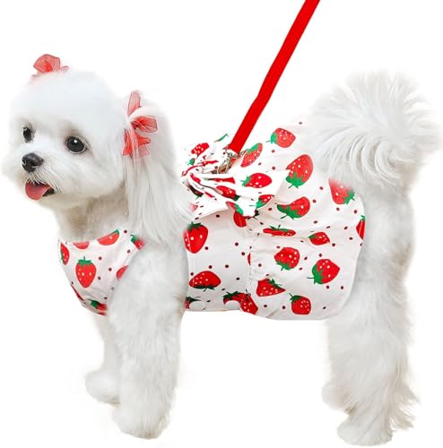 Hundegeschirr, Kleid, Leine, Set für kleine Hunde, Kleidung für Welpen, niedliches rotes Erdbeermuster, Haustier-Sommerkleidung, Schleife, Welpen, Katze, Prinzessinnenkleider (Rot, L) von BLOSSOMLIFE