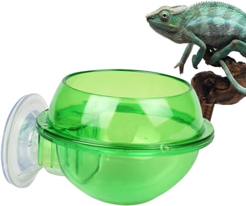 BLOSUM Saugnapf Reptilien-Futterspender Wurm Lebendfutterbehälter Anti-Flucht Reptilien Becher Reptilien Feeder Wasserschalen für Chamäleon BLOSUM Saugnapf Reptilien-Futterspender Wurm Lebendfutterbehälter Anti-Flucht Reptilien Becher Reptilien Feeder Wasserschalen für Chamäleon von BLOSUM