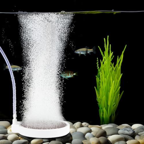 BLOTFISH Nano Sprudelstein für Aquarium & CO2-Diffusor – 5 cm Leiser Luftstein mit Superfeinen Blasen, Sauerstoffanreicherung für Süß-/Salzwasser, inkl. Steuerventil & Saugnäpfen BLOTFISH Nano Sprudelstein für Aquarium & CO2-Diffusor – 5 cm Leiser Luftstein mit Superfeinen Blasen, Sauerstoffanreicherung für Süß-/Salzwasser, inkl. Steuerventil & Saugnäpfen von BLOTFISH