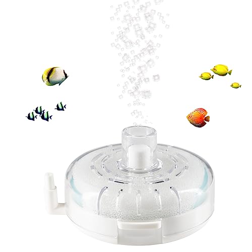 BLOTFISH Aquariumfilter für kleine Aquarien – Mini-Fischbecken für 2–15 Gallonen, Bio-Schwammfilter, ultra-leise, tauchfähige Belüftungsfilter für Zucht, Betta, Garnelenbecken BLOTFISH Aquariumfilter für kleine Aquarien – Mini-Fischbecken für 2–15 Gallonen, Bio-Schwammfilter, ultra-leise, tauchfähige Belüftungsfilter für Zucht, Betta, Garnelenbecken von BLOTFISH