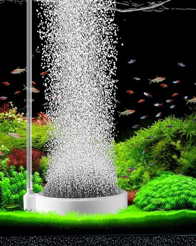 BLOTFISH Sprudelstein für Aquarium, Luftstein Aquarium, Nano-Luftblasen-Steinbelüfter, Co2 Anlage Aquarium Zubehör (8 cm, für 50-120 cm Aquarien) von BLOTFISH