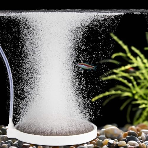 BLOTFISH Luftstein für Aquarium, co2 Diffusor, 15 cm leiser Blasenstein, superhoher Diffusor für 120–300 cm große Aquarien BLOTFISH Luftstein für Aquarium, co2 Diffusor, 15 cm leiser Blasenstein, superhoher Diffusor für 120–300 cm große Aquarien von BLOTFISH
