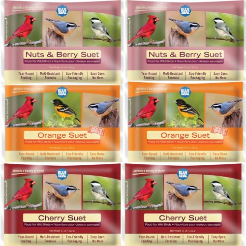 Blue Seal Berry Blend Talgkuchen für Wildvögel, kein Durcheinander, Futter für Spechte, Kardinäle, Siskins, Spatzen und mehr, 325 ml Talg-Futterspender, Vogelsamenkuchen, 6 Stück Blue Seal Berry Blend Talgkuchen für Wildvögel, kein Durcheinander, Futter für Spechte, Kardinäle, Siskins, Spatzen und mehr, 325 ml Talg-Futterspender, Vogelsamenkuchen, 6 Stück von BLUE SEAL