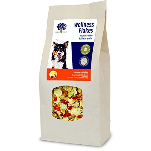 BT Wellness Flakes Sommer-Früchte 650 g BT Wellness Flakes Sommer-Früchte 650 g von BLUE TREE