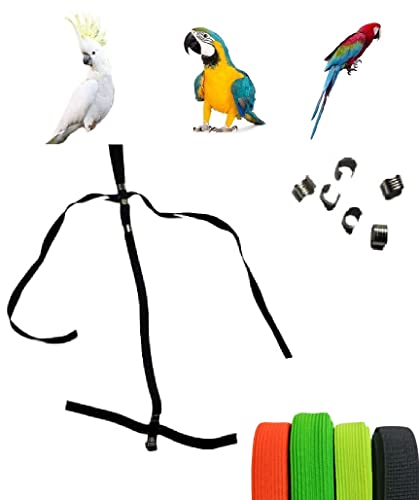 Ersatzgeschirr Papageien groß für Ara oder ähnlich, elastisches Band 15 mm nur als Ersatzband, keine Schnallen, keine Leine, 6 Kabelbinder zum Verschließen von Schnallen von BLUSUPERSHOP