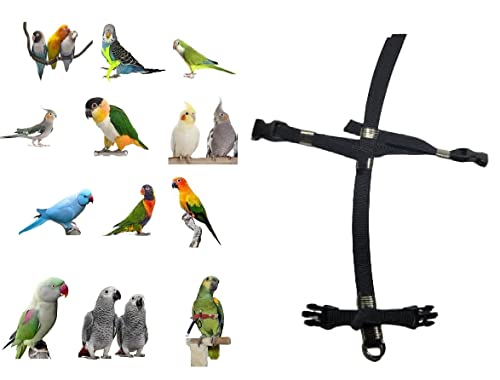Ersatzteil nur Papageiengeschirr für Amazon oder ähnliche, elastisches Band 10 mm mit 2 Befestigungen aus Platik, abnehmbar ohne Klappen von BLUSUPERSHOP