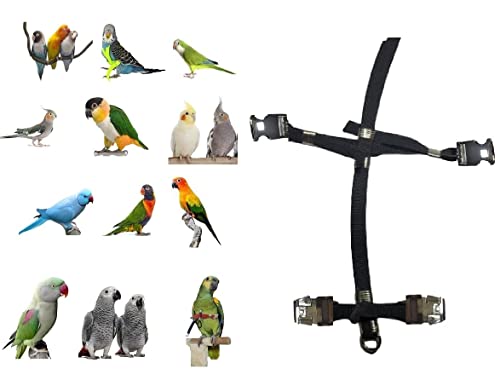 Ersatzteil nur Papageiengeschirr für Amazon oder ähnliches, elastisches Band 10 mm mit 2 Stahl-Befestigungen, die ohne Haken abnehmbar sind von BLUSUPERSHOP