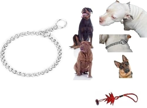 Halsband aus Stahl für Hunde, robuste Kette, für alle kleinen, mittelgroßen Rassen + 1 Amulett (L x B x H) 60 cm von BLUSUPERSHOP