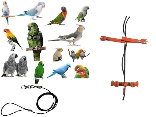 Kamm Orange PAPPAGALLI verstellbar Größe von Kokorit bis Amazonas 3 mm elastisch und Band 10 mm, 2 Befestigungen Kunststoff Leine 3 mm schwarz 1 m Kamm Orange PAPPAGALLI verstellbar Größe von Kokorit bis Amazonas 3 mm elastisch und Band 10 mm, 2 Befestigungen Kunststoff Leine 3 mm schwarz 1 m von BLUSUPERSHOP