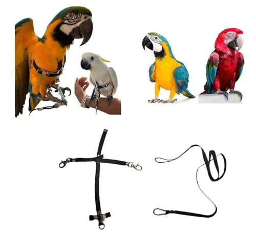 Kamm für Papageien, schwarz, verstellbar, Schnellbefestigung, Größe von Kokorit bis Amazonas, elastisches Band 10 mm, Schnallen aus Kunststoff oder Metall, 10 mm, 1 m (große Ara Haken aus Metall) von BLUSUPERSHOP