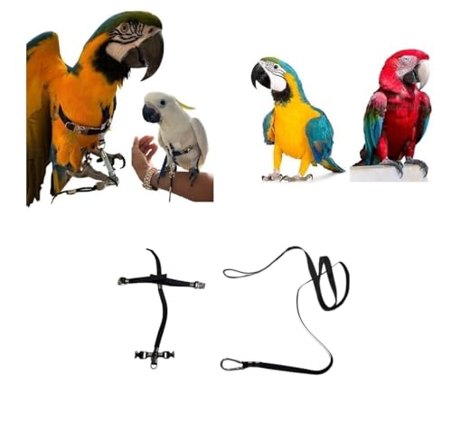 Kamm für Papageien, schwarz, verstellbar, Schnellbefestigung, Größe von Kokorit bis Amazonas, elastisches Band 10 mm, Schnallen aus Kunststoff oder Metall, 10 mm, 1 m (große Luft Schnallen aus Metall) von BLUSUPERSHOP