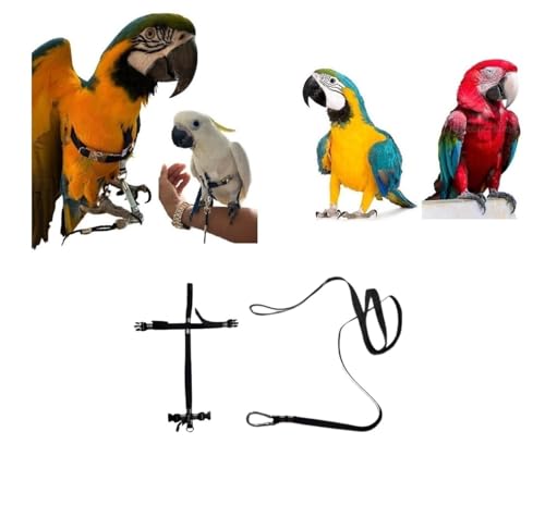 Kamm für Papageien, schwarz, verstellbar, Schnellbefestigung, Größe von Kokorit bis Amazonas, elastisches Band 10 mm, Schnallen aus Kunststoff oder Metall, 10 mm, 1 m (große Luftschlösser aus von BLUSUPERSHOP