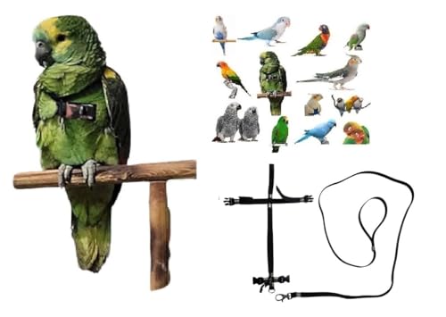 Kamm für Papageien, schwarz, verstellbar, Schnellbefestigung, Größe von Kokorit bis Amazonas, elastisches Band 10 mm, Schnallen aus Kunststoff oder Metall, 10 mm, 1 m (schwarze Kunststoffschnallen) von BLUSUPERSHOP