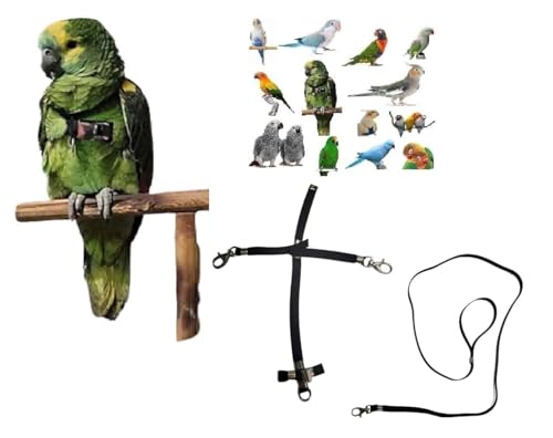 Kamm für Papageien, schwarz, verstellbar, Schnellbefestigung, Größe von Kokorit bis Amazonas, elastisches Band 10 mm, Schnallen aus Kunststoff oder Metall, 10 mm, 1 m (schwarze Metallhaken) von BLUSUPERSHOP