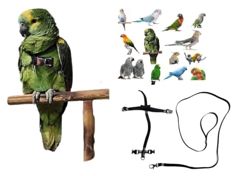 Kamm für Papageien, schwarz, verstellbar, Schnellbefestigung, Größe von Kokorit bis Amazonas, elastisches Band 10 mm, Schnallen aus Kunststoff oder Metall, 10 mm, 1 m (schwarze Metallschnallen) von BLUSUPERSHOP