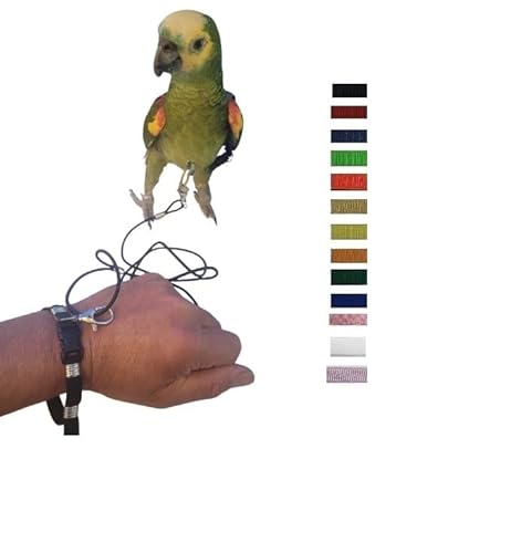 Nur 1 elastisches Armband mit Karabinerverschluss, verstellbar von 0 bis 30 cm, zum Befestigen an der Leine Ihres Papageiengeschirrs, geeignet für jedes Geschirr und jedes kleine Tier Nur 1 elastisches Armband mit Karabinerverschluss, verstellbar von 0 bis 30 cm, zum Befestigen an der Leine Ihres Papageiengeschirrs, geeignet für jedes Geschirr und jedes kleine Tier von BLUSUPERSHOP