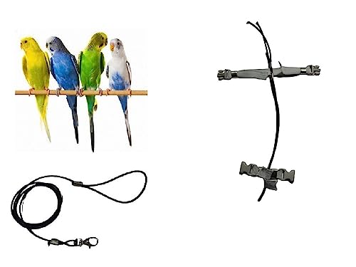 PAPAGALLI Größe COCORITE Seil 3 mm Elastisches schwarzes Band 10 mm Farben zur Auswahl, 2 Bindungen, Metall oder Kunststoff, verstellbar, Länge 3 mm, Schwarz, 1 m + Amulett PAPAGALLI Größe COCORITE Seil 3 mm Elastisches schwarzes Band 10 mm Farben zur Auswahl, 2 Bindungen, Metall oder Kunststoff, verstellbar, Länge 3 mm, Schwarz, 1 m + Amulett von BLUSUPERSHOP